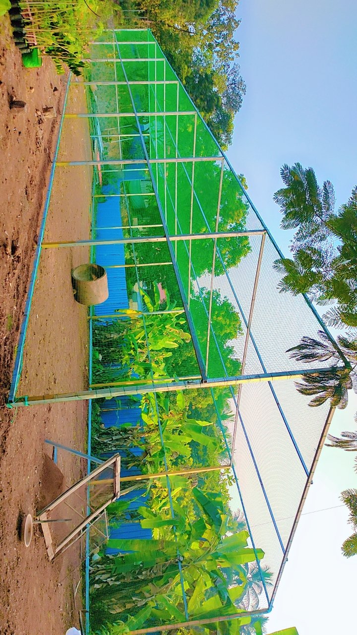 Large protective net enclosure around a property