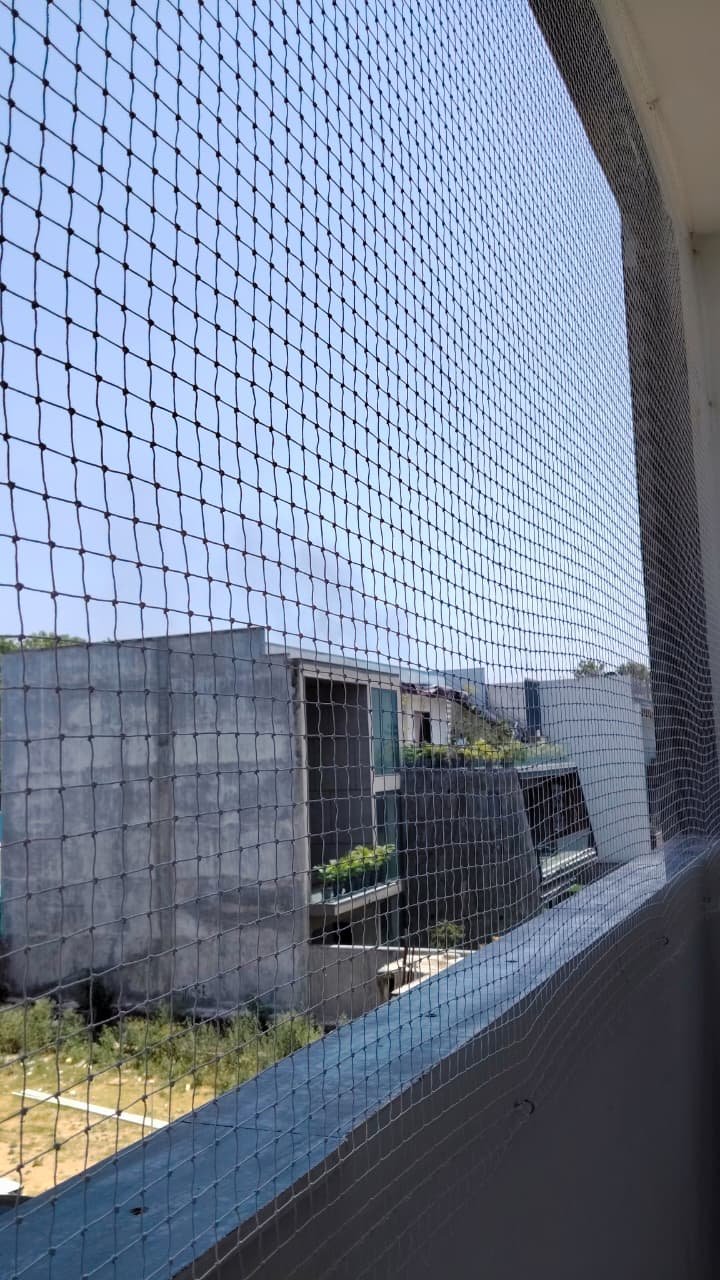 Balcony Bird Netting service photo