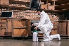 Pest control service being carried out indoors