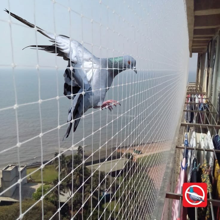 Balcony bird netting across an apartment opening