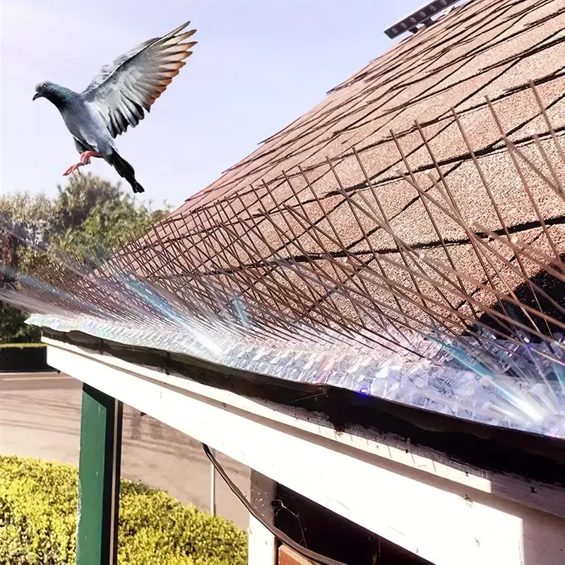 Metal bird deterrent spikes fitted along a roof edge