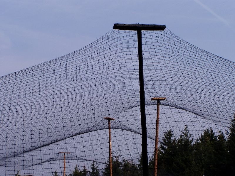 Outdoor sports area enclosed by a tall safety net